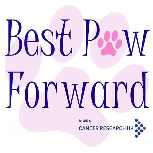 Halo Dogs Rescue & Rehabilitation