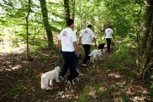 Dog Walker Enfield