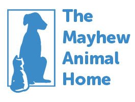 Halo Dogs Rescue & Rehabilitation