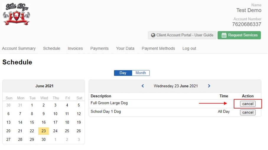 Client Account Portal - User Guide