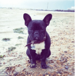 Merv