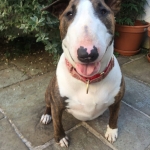 Winnie