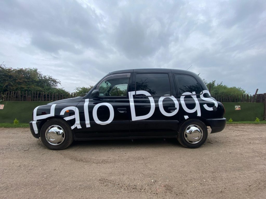 Pet Taxi London