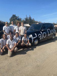 the team of hal dogs luxury dog hotel in enfield north london next to a black tazi