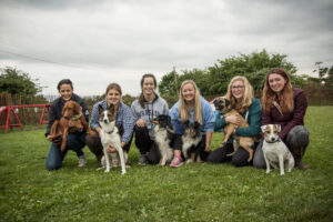 Group dog training class in luxury boarding facility at Halo Dogs
