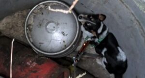 Jimmy stuck beneath several metal cylinders at the bottom of a deep well