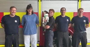 Dog Trapped in Well for 11 Days Finally Rescued