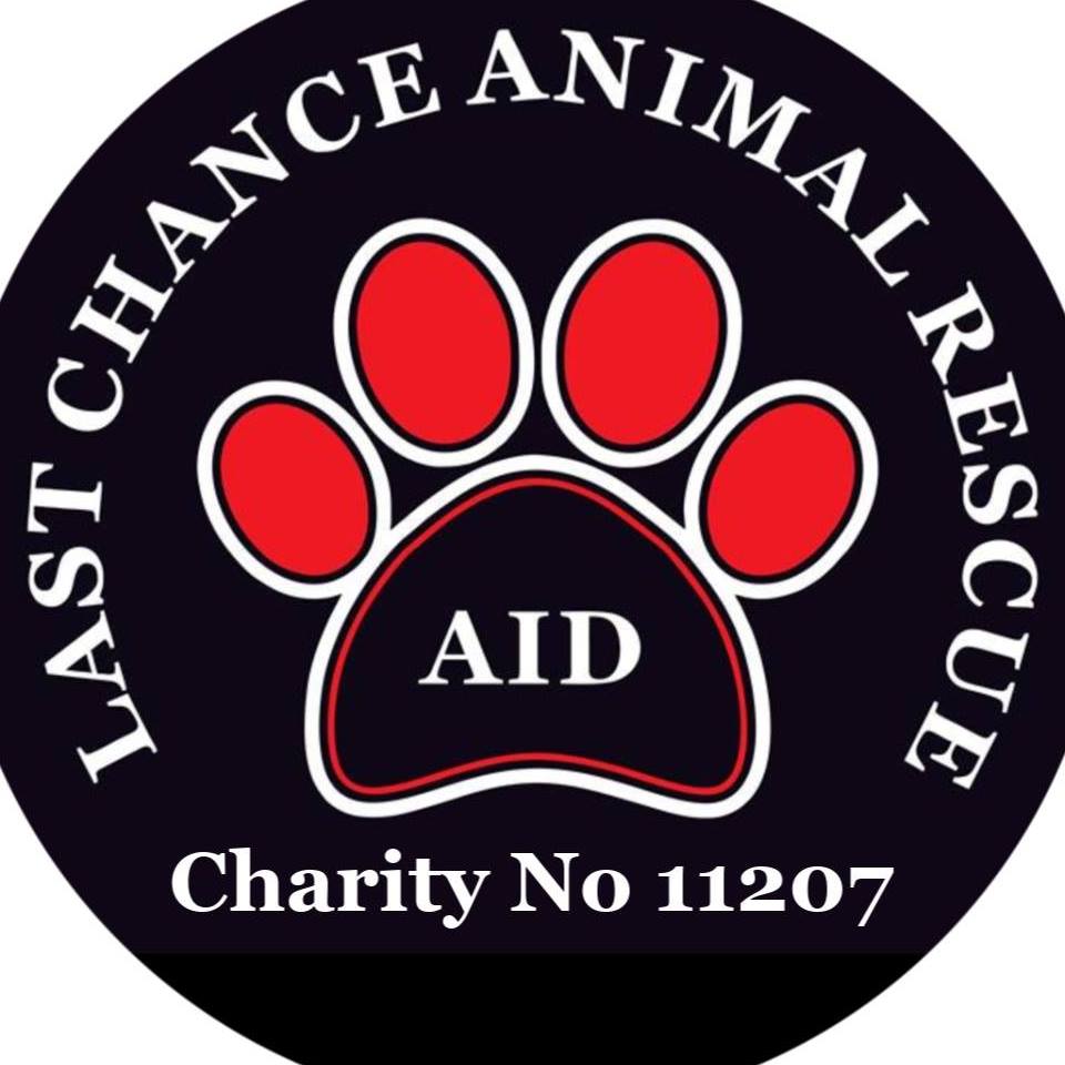 Halo Dogs Rescue & Rehabilitation