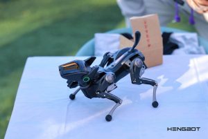  Sirius, completely untethered. A unique fusion of machine and mind, offering not just our most advanced robotics, but the protected, collaborative space needed to explore the very definition of artificial life.