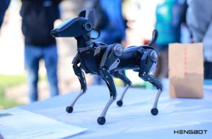 Super Agile Robot in 1KG | 1000+ Motion Library | AI Multimodal Interaction | 5 TOPS AI Processor | Bionic Design | Creator-Friendly