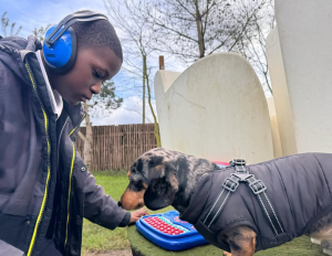 SEND student at Halo Dogs