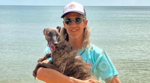 Margo the whippet has become the UK’s dog surfing champion