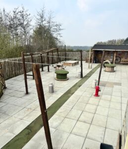 London’s best Dog Park 
